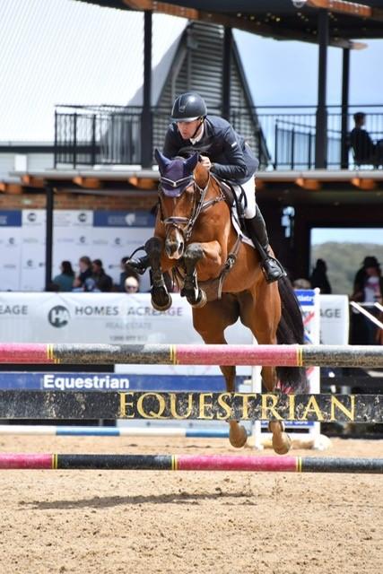 Very Talented Showjumper