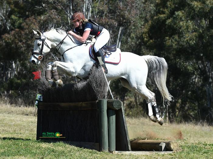 Horses for sale & equine products, stallions, equine news & gallery on