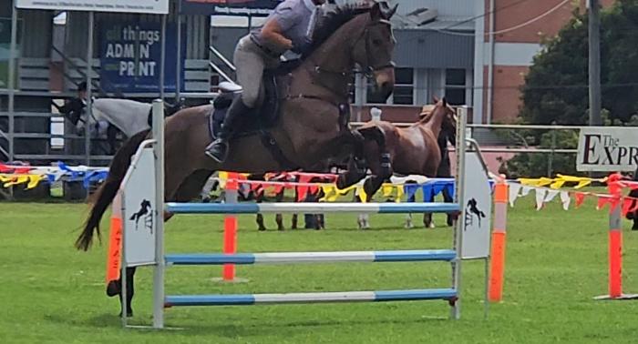 Sweet Tb ready for new career equimillions eligibl