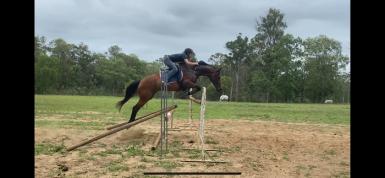 Springvale First Waltz