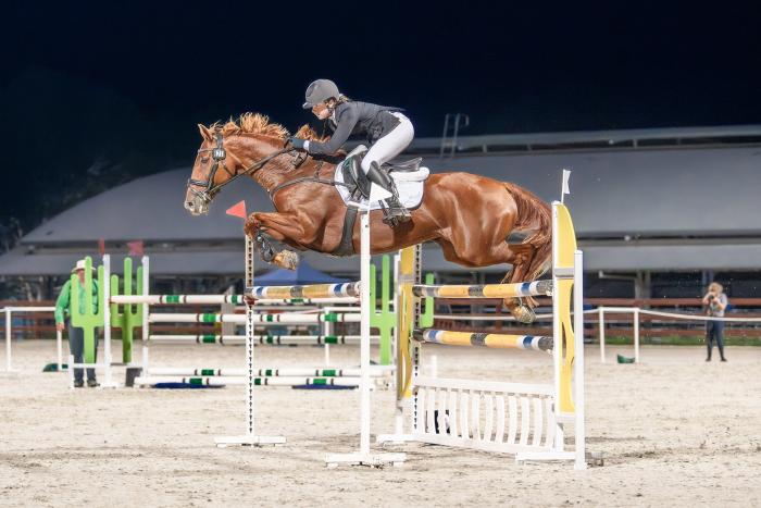 4* Schoolmaster - Sandhills Bliss