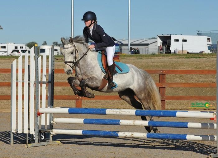 Competitive Jumping Pony