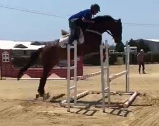 Athletic sports model