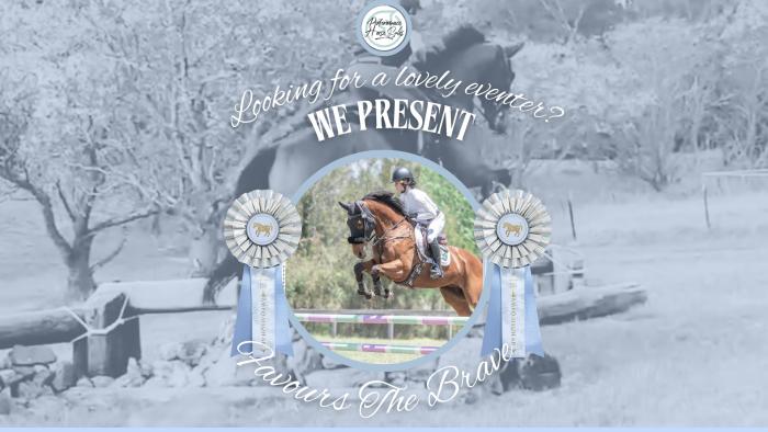 Favours The Brave - EVA95 - 110 Showjumper