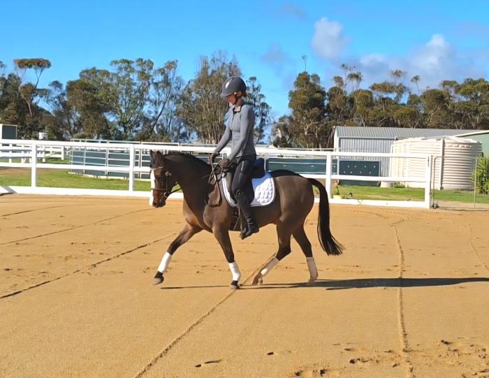 Wynara Monsoon