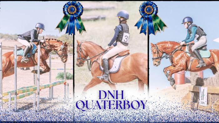 DNH Quaterboy - GRP WB x - superstar allrounder