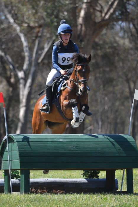 KAPETA TRICKSTER | Eventing & Showjumping Pony
