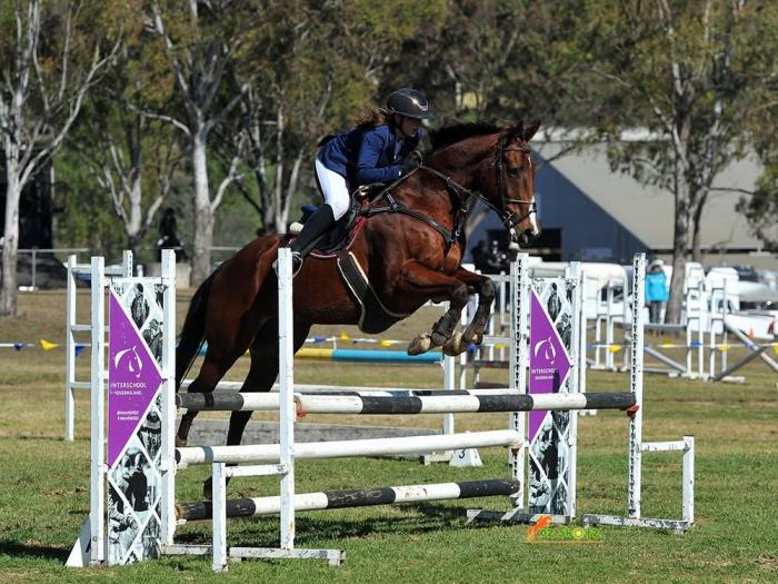 Geronimo â Competitive OTT Showjumper