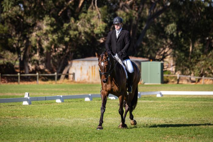 7 y/o TB Eventer