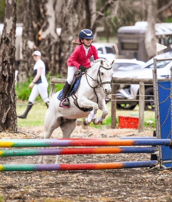 Ultimate Child’s Jumping Pony