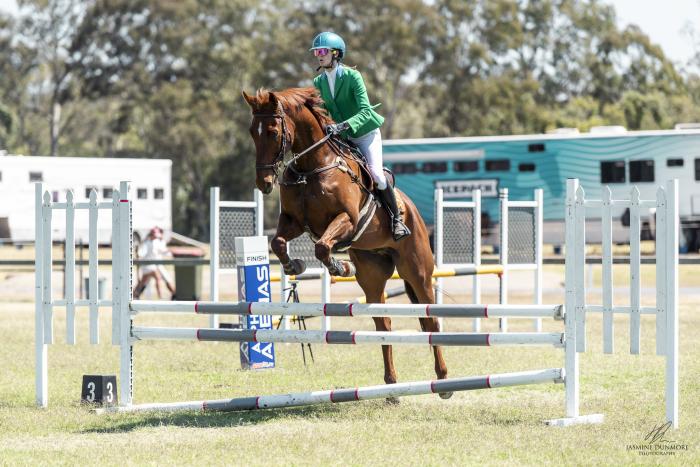 "Rocco Barocco" Jumping & Dressage TB