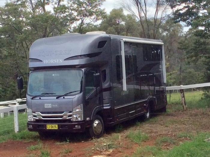 Horsezone Buy, show, sell horses and equestrian related products