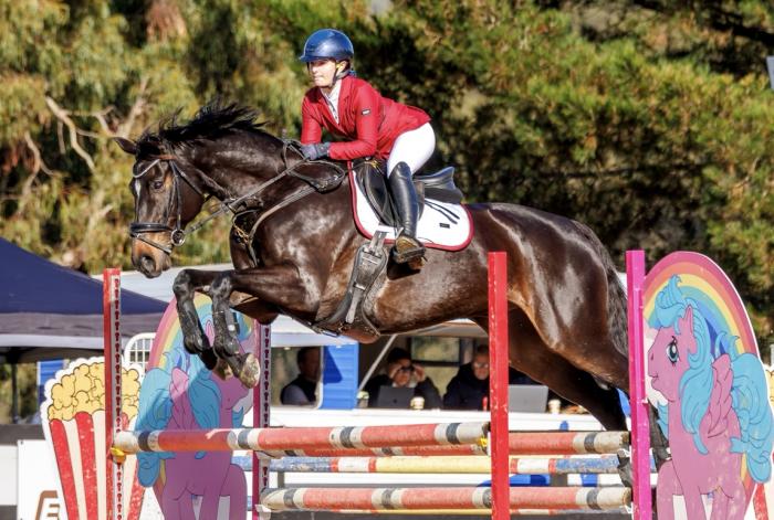 Stunning and talented show jumper