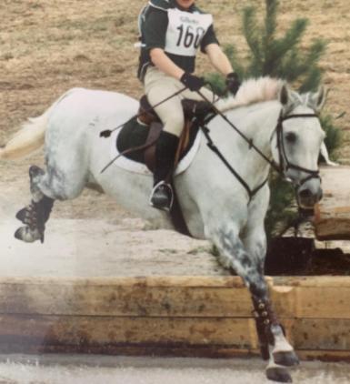 WANTED: MR RELIABLE / SCHOOLMASTER 