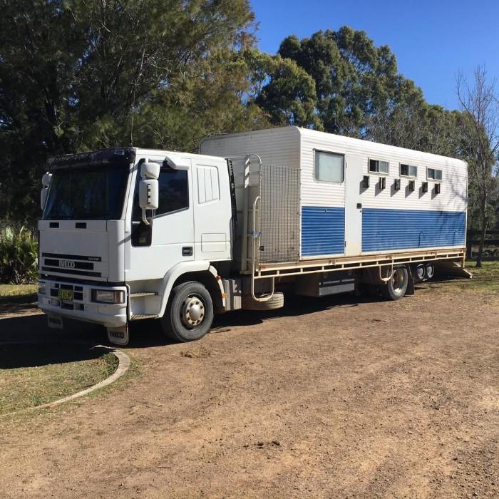 Horsezone Buy, show, sell horses and equestrian related products