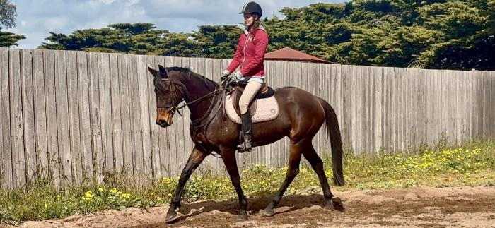 Handy 12yo 15.3 TB mare. Sensible