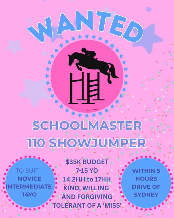 110 schoolmaster showjumper for a 13 year old