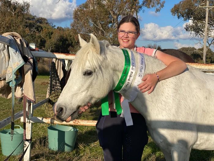 Pony For Sale Pony Horse » Horsezone