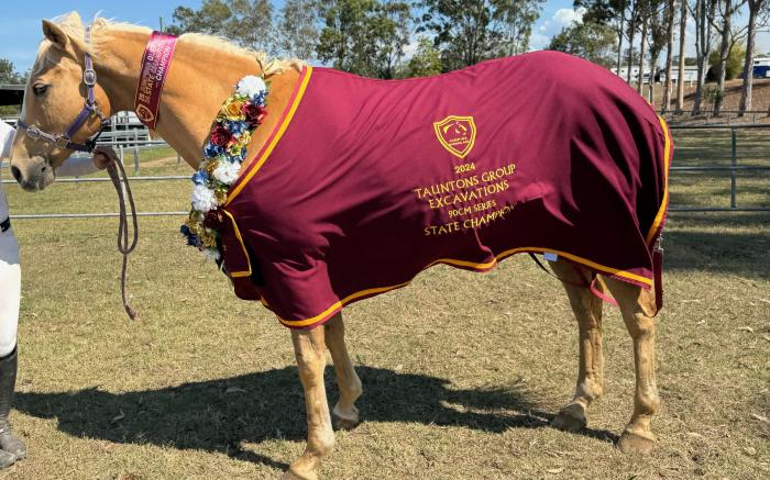 Competitve Childrens Showjumper