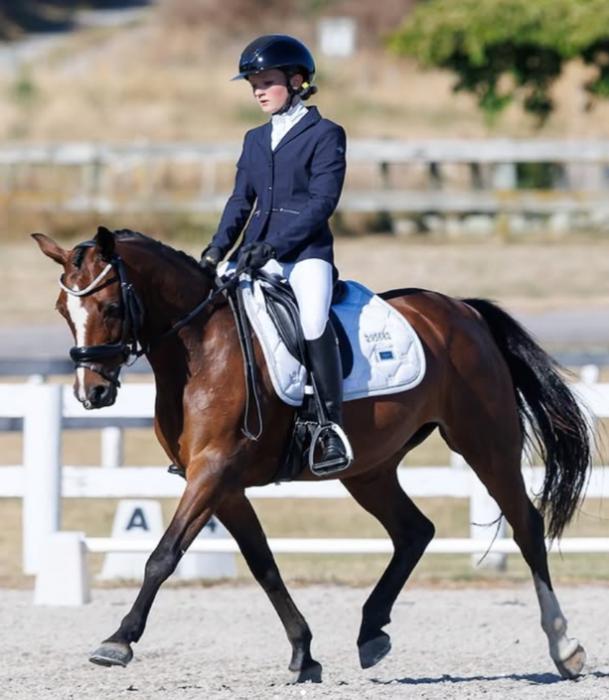 Talented Dressage Pony