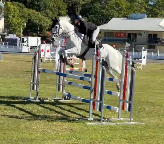 Ultimate Interschool Showjumper