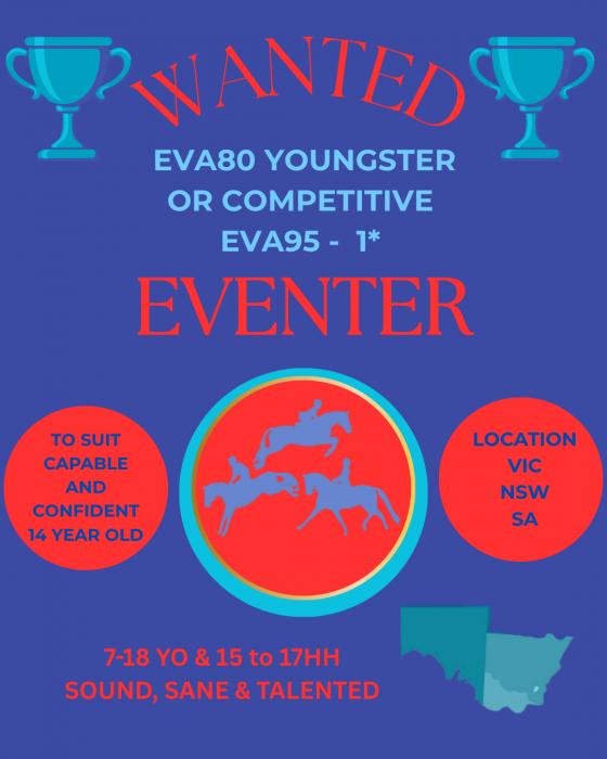 Wanted EVA95 to 1* eventer Schoolmaster