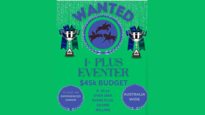 WANTED TO BUY - eventer for capable teen