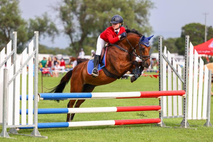 Ultimate Performance Pony