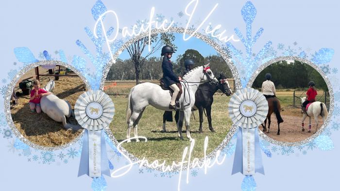 Pacific View Snowflake Aust Pony Mare