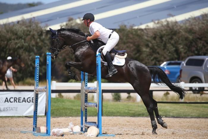 Stunning, Talented Mare