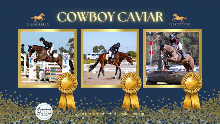 Cowboy Caviar - promising eventer competing EVA80