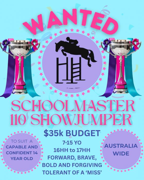 WANTED - 110 plus Showjumper for 14yo junior rider