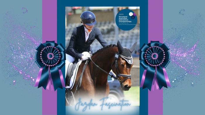 Jazdan Fascination - Advanced Dressage/ Show