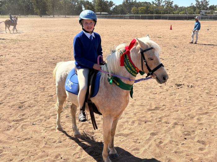 Cute pony club pony