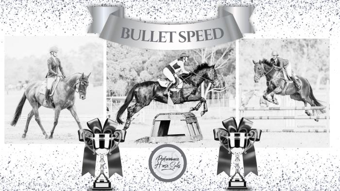 Bullet Speed - EVA95/ Elementary Dressage gelding
