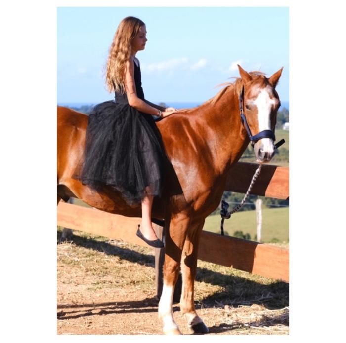 Beautiful Riding Pony - Darcy 