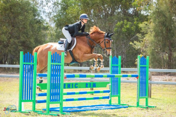 ✨Talented Mare with Bright Future✨
