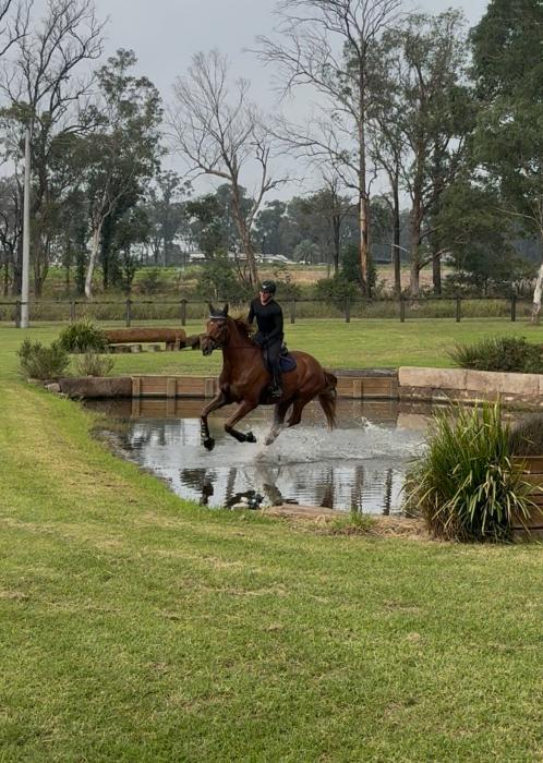 DRESSAGE, HACK, VAULT or JUMP