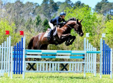 WhatsApp Image 2021-01-12 at 6.02.08 PM.jpeg