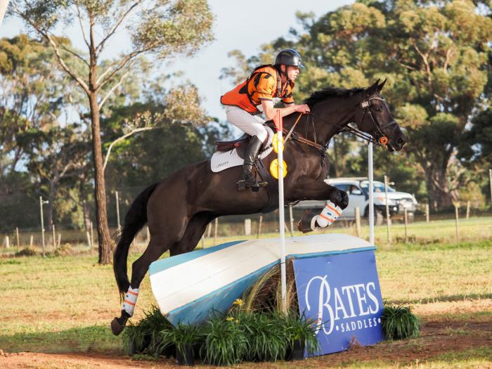 Exceptional 3* Broodmare