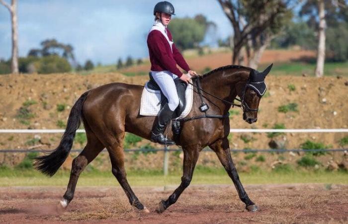 Interschool all-rounder