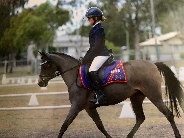 Perfect Competitive Kid's Pony - $6500 neg