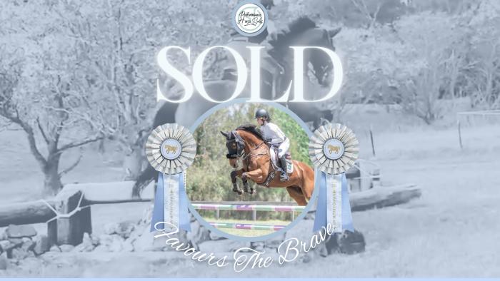 Favours The Brave - EVA95 - 110 Showjumper