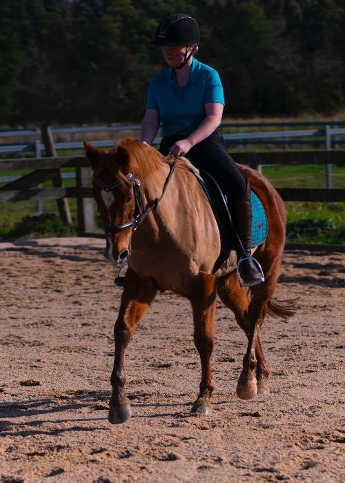 Fun and experienced!