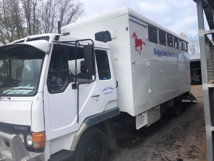 Horsezone Buy, show, sell horses and equestrian related products