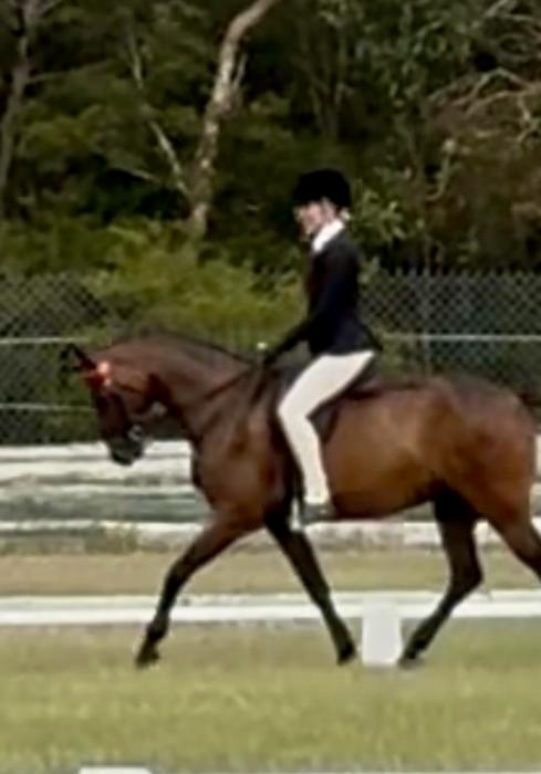 13.2 RP Gelding - Fun & Competitive