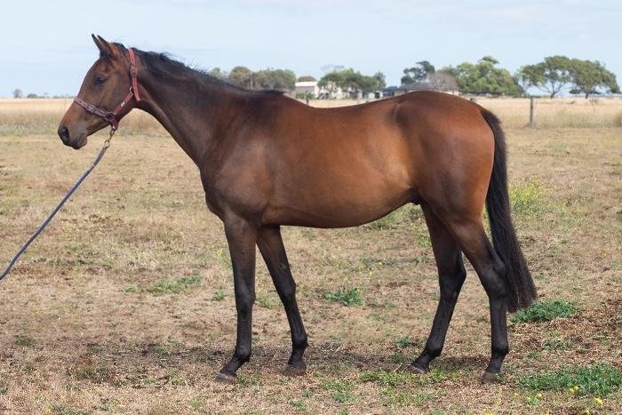 Ready to begin his campaign 