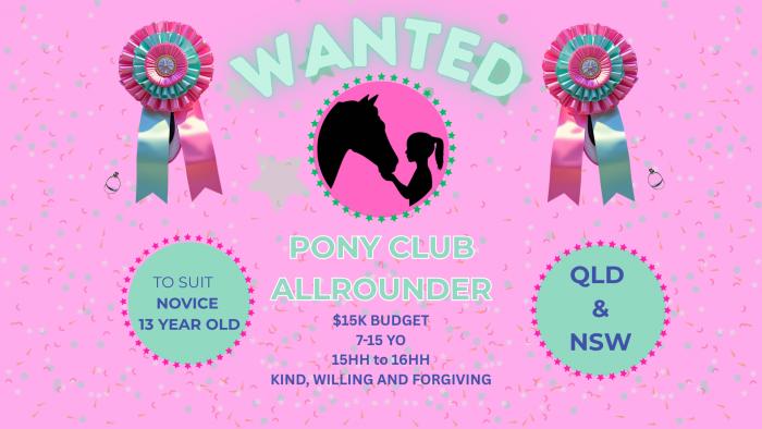WANTED - Schoolmaster pony club allrounder