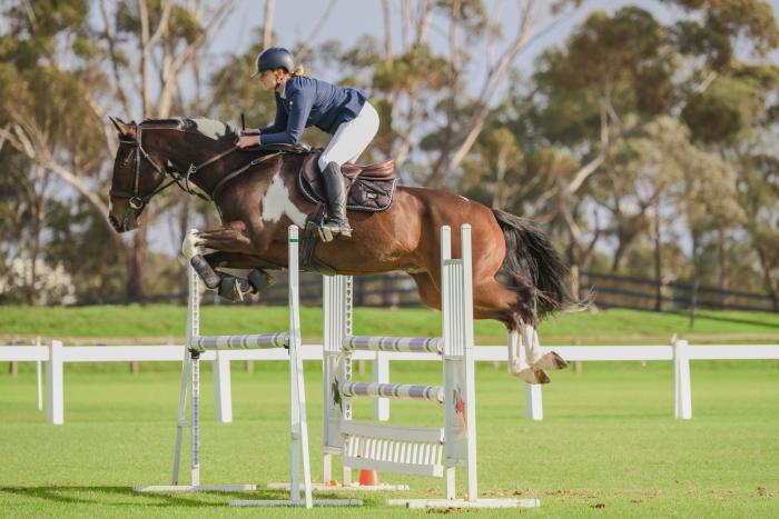 Talented Showjumper - Cowboy Cash