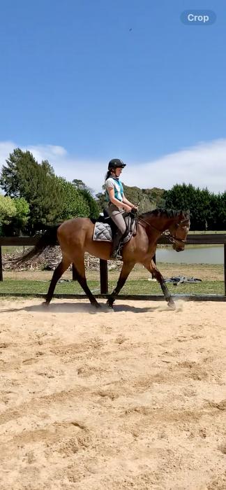 Compact TB allrounder
